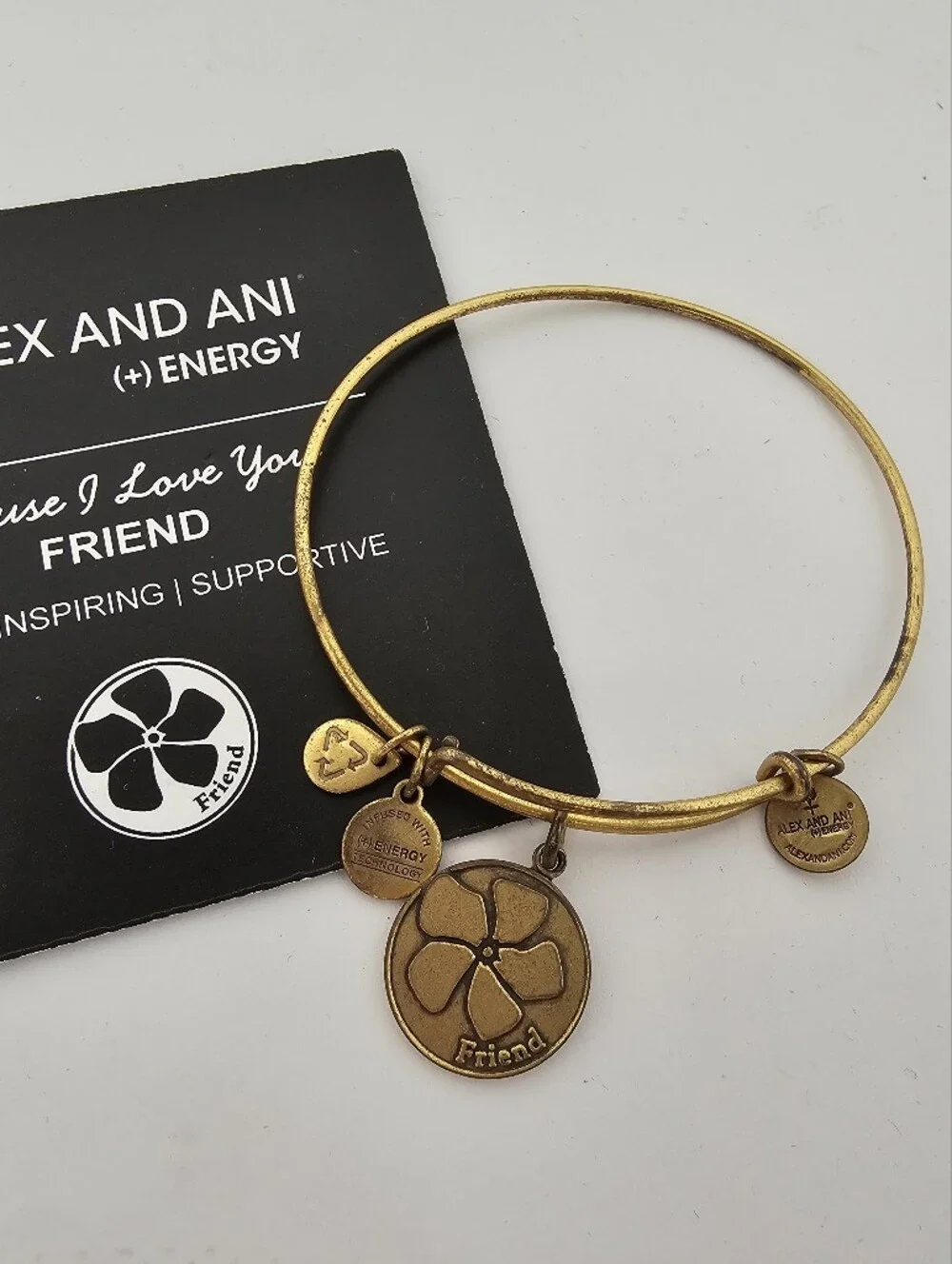Alex and Ani #3 Gold Tone, Ode to the Owl, Friend Charm & Woven Bracelet Bangles